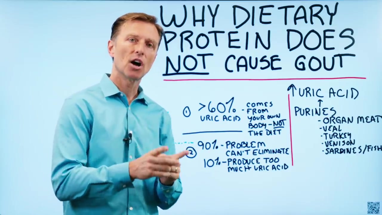Why Does Dietary Protein NOT Cause Gout Dr Berg Febspot