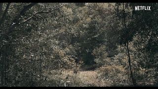 Horror trailer-ROH
