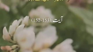 Suray Bakra