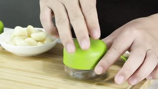 DOSMAMZ Garlic Chopper, 2PCS Garlic Presses, Stainless Steel Blades Cutter