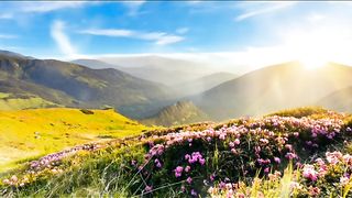Nature 203