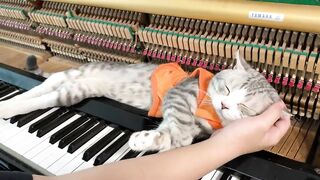 Right here waiting for meow - Richard marx