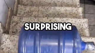 Surprising Facts to shock you ???? #randomfacts