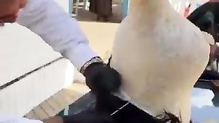 Respect videos 20
