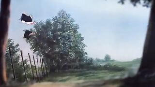 Watership Down (1978)