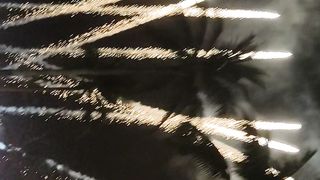 Firework 3