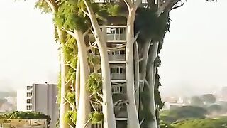 So beautiful Subhan Allah