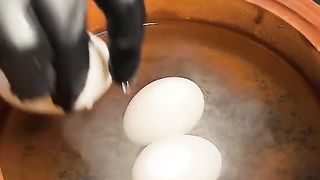 Egg Biriyani