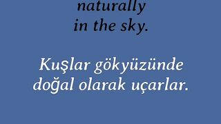 Learn English to Italian Adverbs 14 2