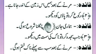 اسلامی معلومات Like share follow 432