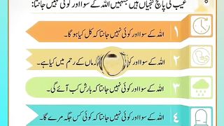 اسلامی معلومات Like share follow 436