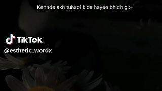 Couple love status ????????????