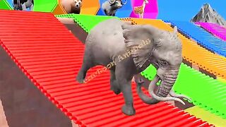 children funny cartoon videos #elphants #cow # dog # cartoon video # funny #funny video #birds