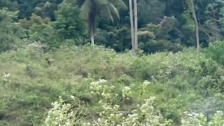Grabi ung Bawi ni Bemaks????matatawa talaga kayo nito????Watch till the end