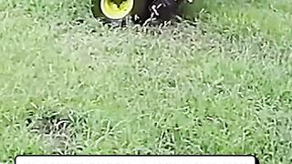 Cctv video