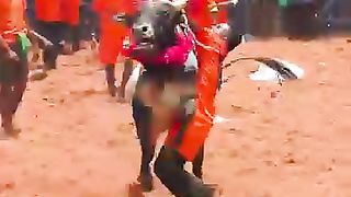 சூப்பர்_புடி_#shorts_#tamizhantrending_#trending(360p).