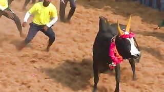 சூப்பர்_சூப்பர்_அழகுடா_#shorts_#tamizhantrending_#trending(480p).
