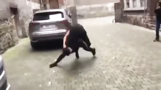 Always fighting