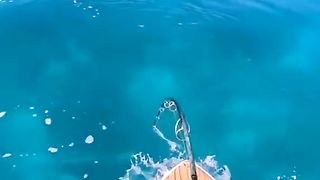 Amazing videos vol 239
