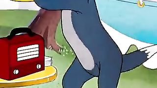 Don't Get Too Comfortable Tom #shorts #tomandjerry - @wbkids