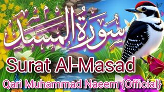 Recitation of quran| Para No 30|Surah No 111 |Qari Muhammad Naeem Official| Short video| Short Status|Short Reel| Quran Ki Tilawat