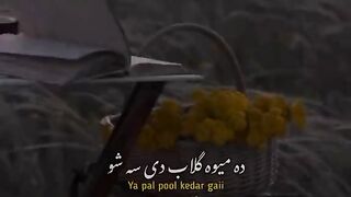 Poetry lover short video #ytshorts #viral pakistan
