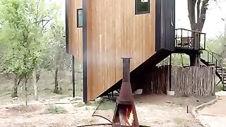 unique butterfly