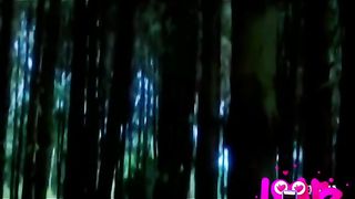 Maharaja Hindi song