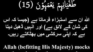 Surah Baqarah Ayah 15 to 17 Beautiful tilawat by Tareq Mohammad