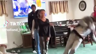 compilation des moments les plus drole!!!! 2