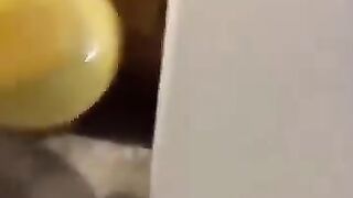 Chats les plus drôles????In_The_World????_Funny_and_Fails_Pets_Video_95_#shorts_#cats_#funny_#animals(360p).