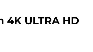 CATS and DOGS in 4K 60fps HDR (ULTRA HD) #4k #hdr #ultrahdstatus
