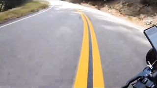 Do we know if he survived?