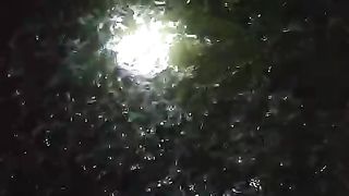 Cek kontrol kolam pembibitan ikan lele