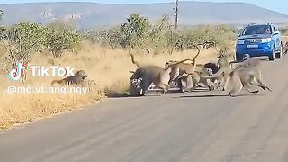 This is the unity