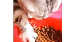 Funny actions 133