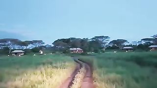 NATIONAL PARK TANZANIA