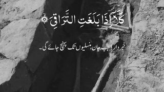 Quran emotional and beautiful Recitation