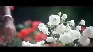 Dil_Ne_Ye_Kaha_Hai_Dil_Se___4K_Video_Song___Dhadkan__2000__Alka_Yagnik__Akshay_Kumar_%2C_Sunil_Shetty(360p).