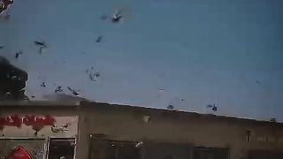 Haram in Madina