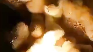 The light for chicken