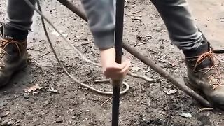 Amazing videos vol 245