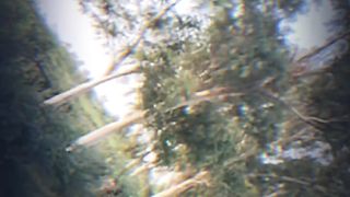 Smart video 3