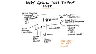 What Garlic Does to the Liver