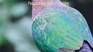 Tilawat e Quran Pak 10
