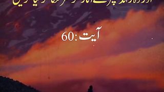 Quran 117