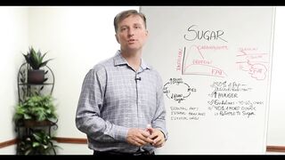 What Would I Eat if I had Diabetes? – Try Dr.Berg's Diet For Diabetes