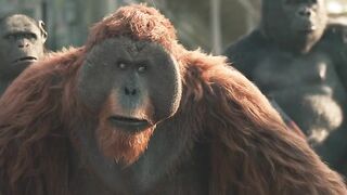 Informative Movies Clips.