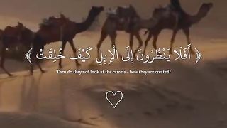 Quran 120