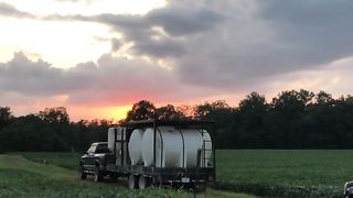Dropping pumpkins from a helicopter!. 2